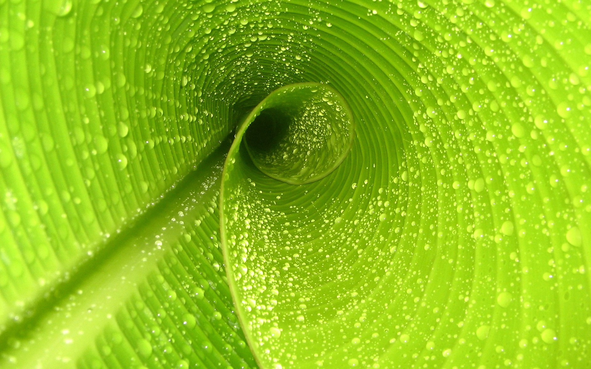 熊猫体育app-纪念退役：那些永远铭刻在联盟历史上的球员，纪念perk