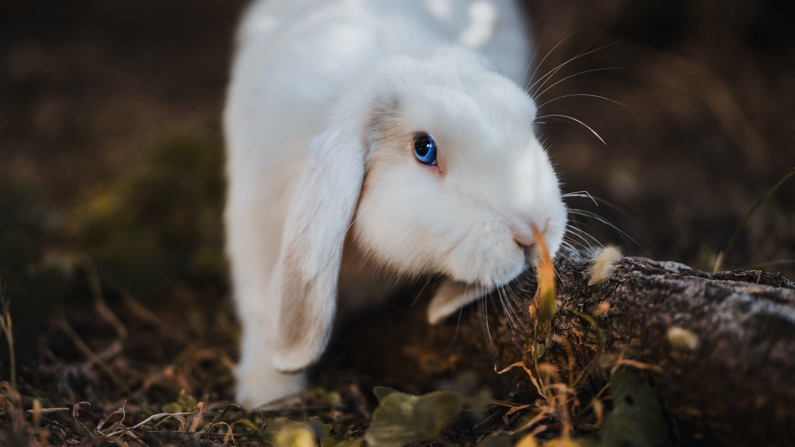 比赛当晚突发情况处置及时赛事组织能力获得肯定,比赛过程中可能会出现哪些突发状况